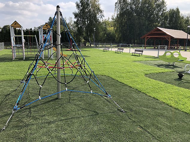 Pastewnik kwitnie jesienią. "Można się relaksować"