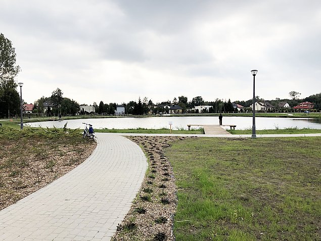 Pastewnik kwitnie jesienią. "Można się relaksować"