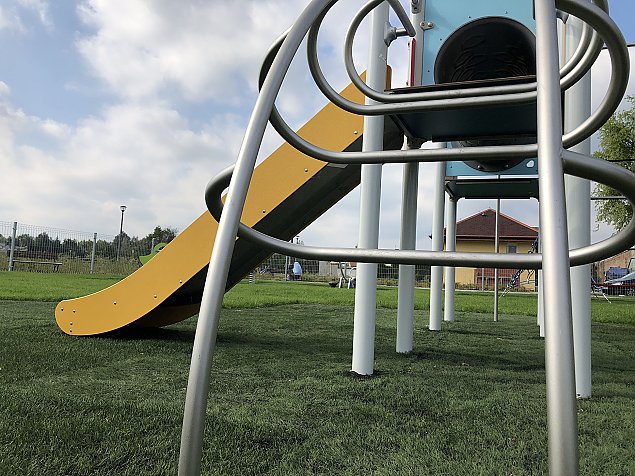 Pastewnik kwitnie jesienią. "Można się relaksować"