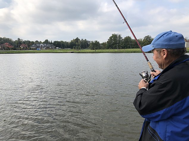 Pastewnik kwitnie jesienią. "Można się relaksować"