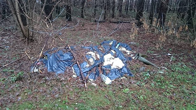 Las pełen śmieci. Strażnicy rozbrajająco bezczynni
