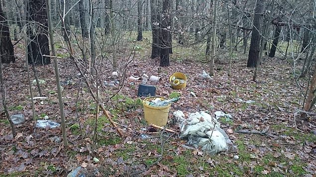 Las pełen śmieci. Strażnicy rozbrajająco bezczynni