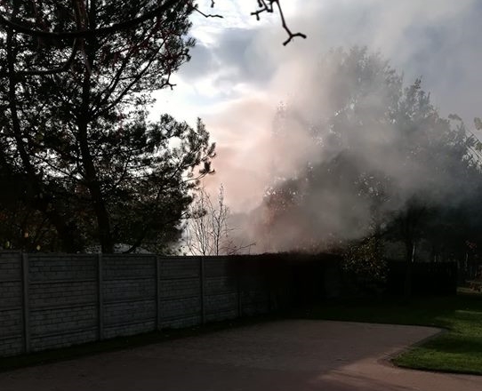 Palisz ognisko? Możesz dostać wysoki mandat