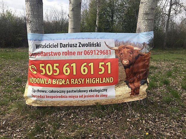 Nowy szeryf w Starej Wsi? Bizony już są