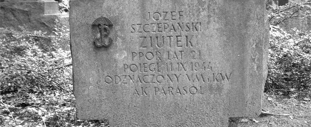 "Każdy chłopak chce być ranny"? Los obrońców pałacyku Michla