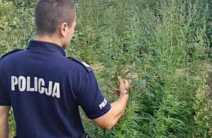 Marihuana obok stacji metra