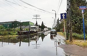 Fortuny po deszczu. Zakochaj się w Jelonkach