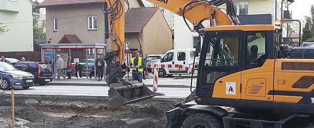 Żółw przegonił zająca. Ulice później od metra