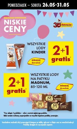biedronka 017 3