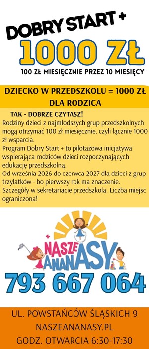 nasze ananas dobry start 3
