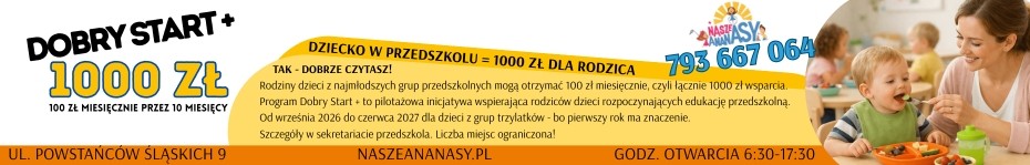 nasze ananas dobry start 2