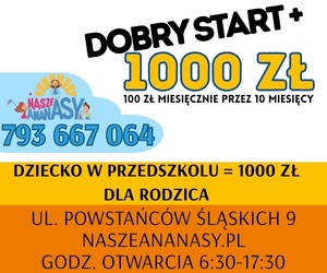 nasze ananas dobry start 0