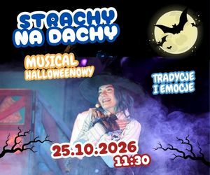 bck strachy na dachy 0