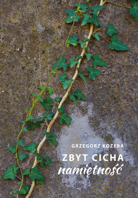 Zbyt cicha nami�tno��