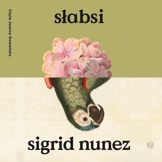 S�absi