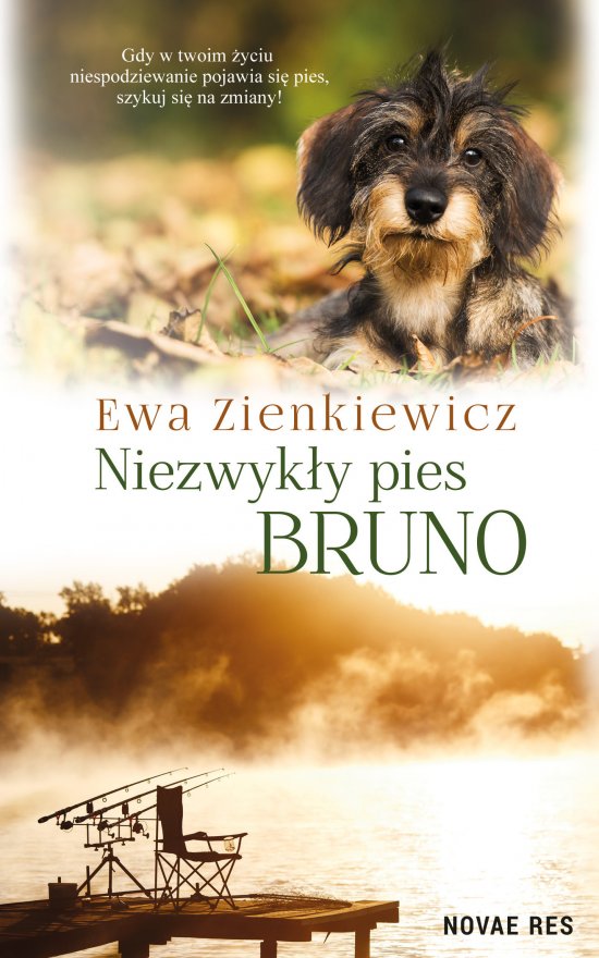 Niezwyk�y pies Bruno
