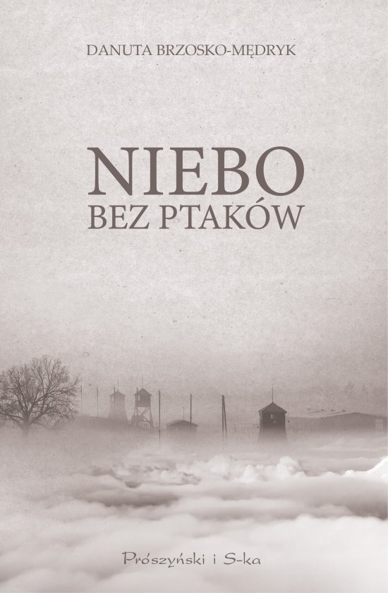 Niebo bez ptak�w