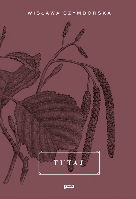 Tutaj