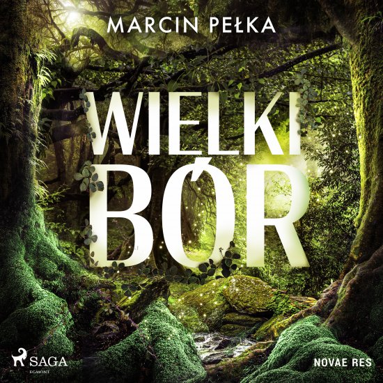 Wielki B�r