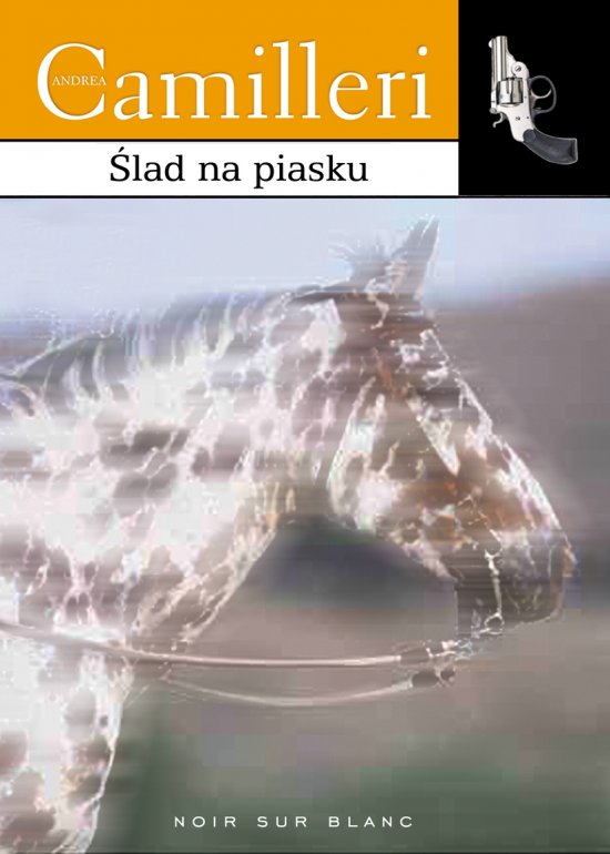 �lad na piasku