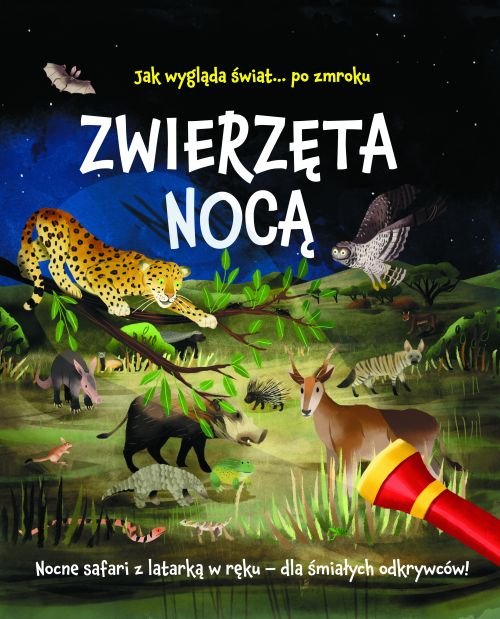 Zwierz�ta noc�. Nocne safari z latark� w r�ku