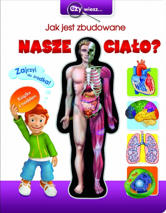 Jak jest zbudowane nasze cia�o