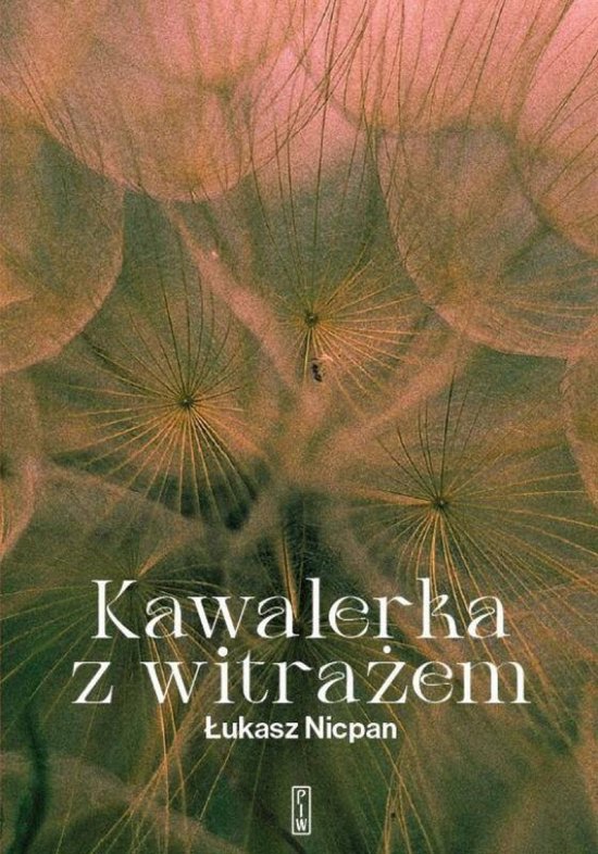 Kawalerka z witra�em