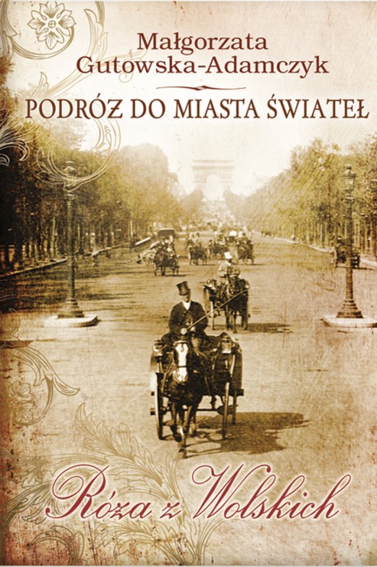 Podr� do miasta �wiate� Tom I. R�a z Wolskich