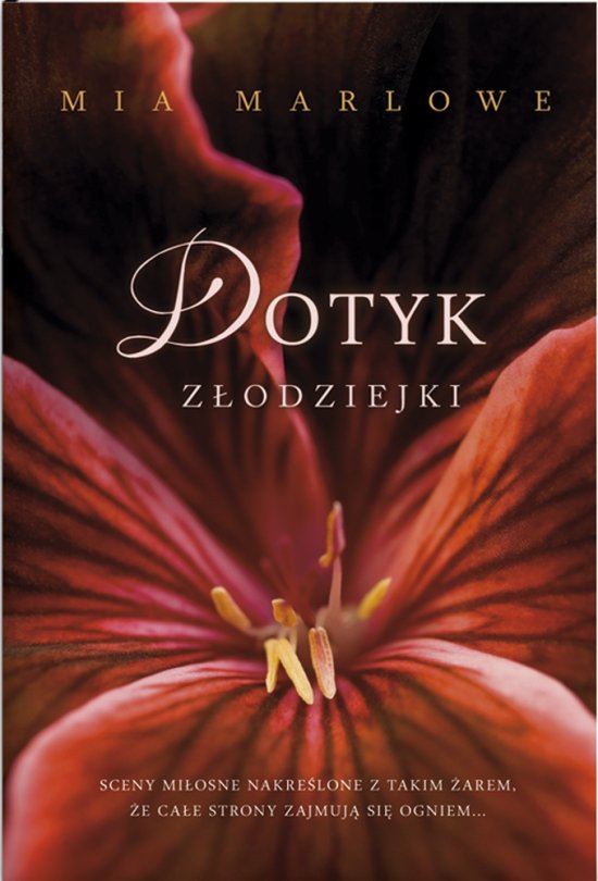Dotyk z�odziejki