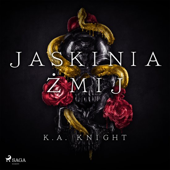 Jaskinia �mij