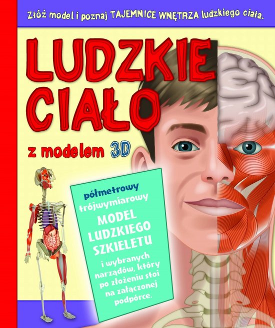 Ludzkie cia�o z modelem 3D