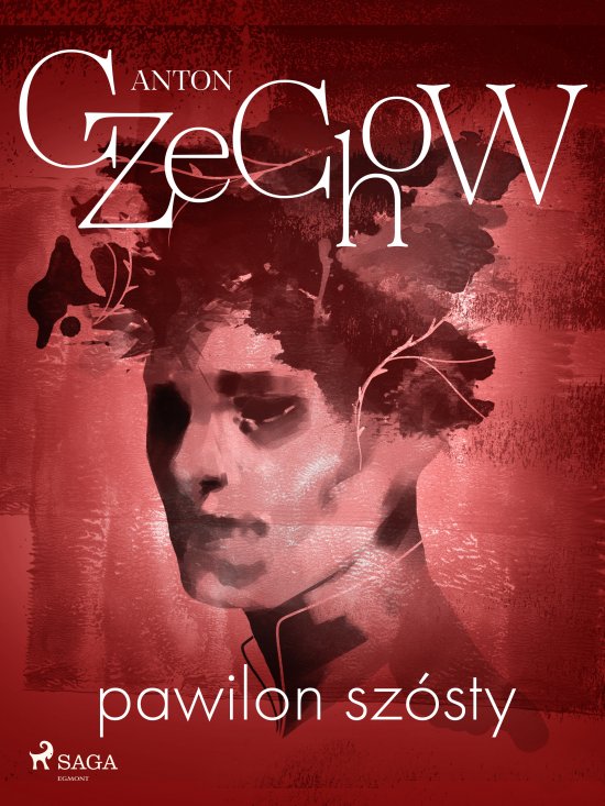 Pawilon sz�sty
