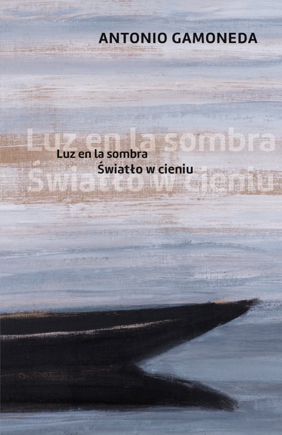 �wiat�o w cieniu