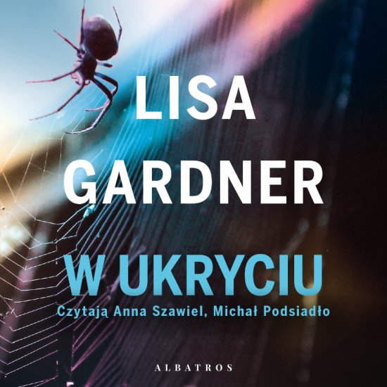 W ukryciu. Cykl z detektyw D.D. Warren. Tom 2