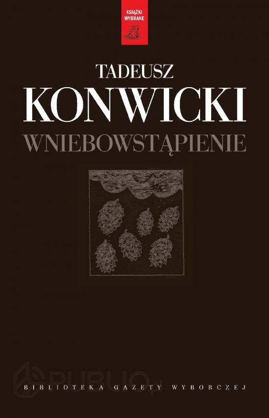 Wniebowst�pienie