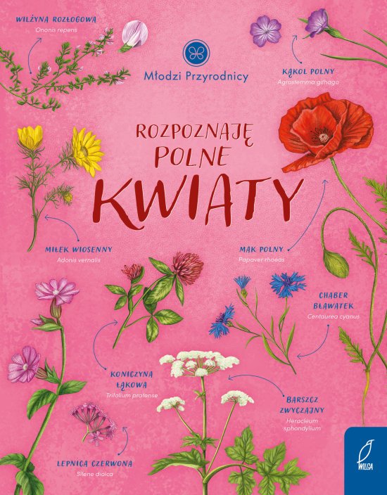 M�odzi przyrodnicy. Rozpoznaj� polne kwiaty