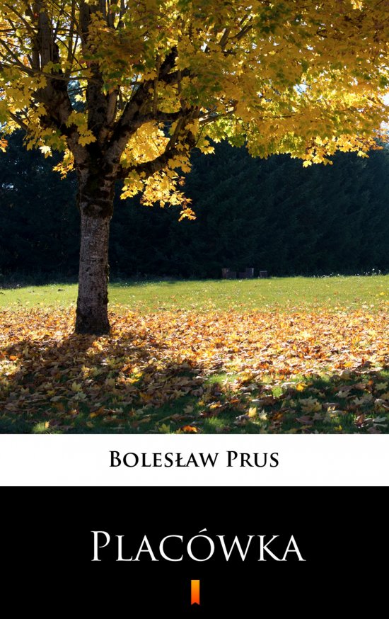 Plac�wka