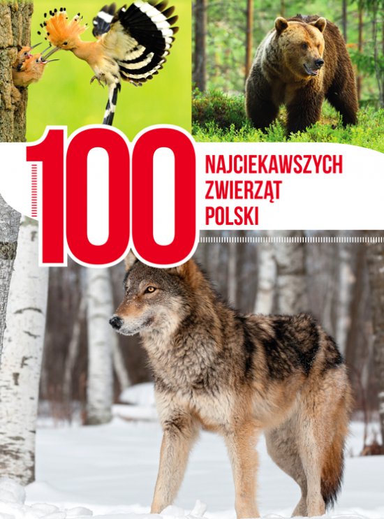100 najciekawszych zwierz�t Polski