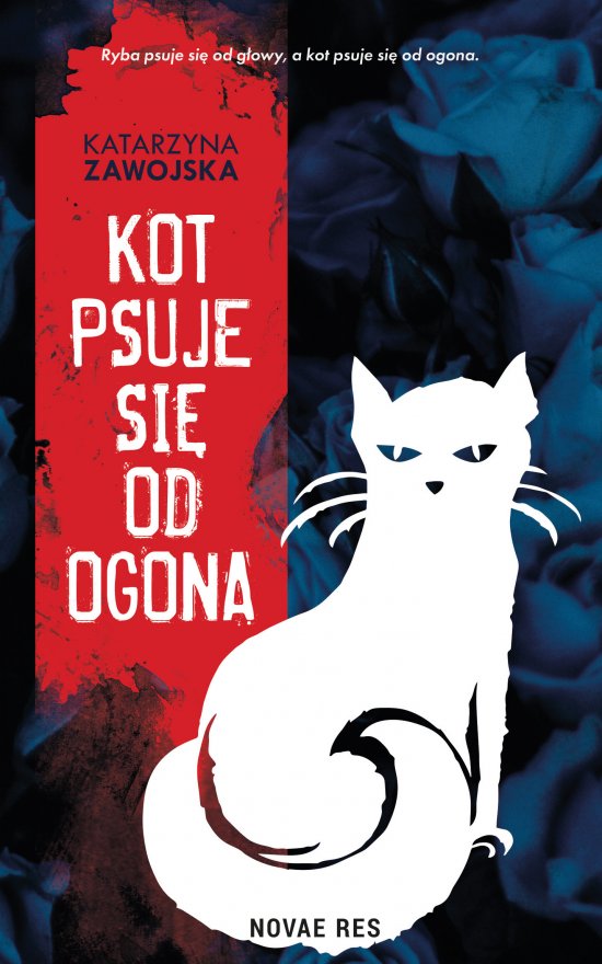 Kot psuje si� od ogona