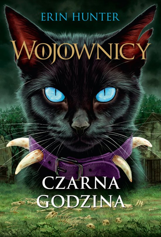 Czarna godzina, Wojownicy, Tom VI