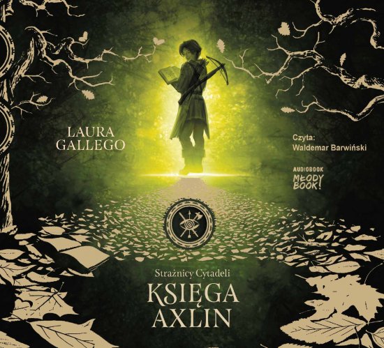 Stra�nicy Cytadeli. Ksi�ga Axlin