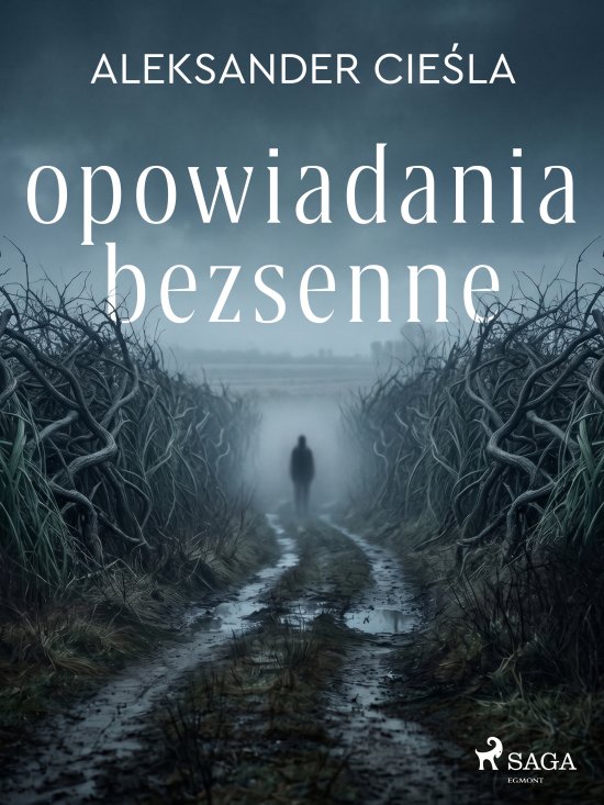 Opowiadania bezsenne
