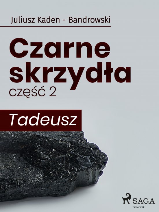 Czarne skrzyd�a 2 - Tadeusz