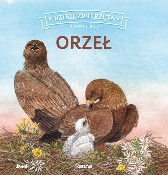 Dzikie zwierz�ta w naturze. Orze�