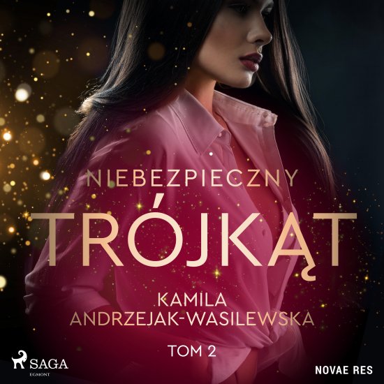 Niebezpieczny tr�jk�t. Tom 2. W sid�ach Parker�w
