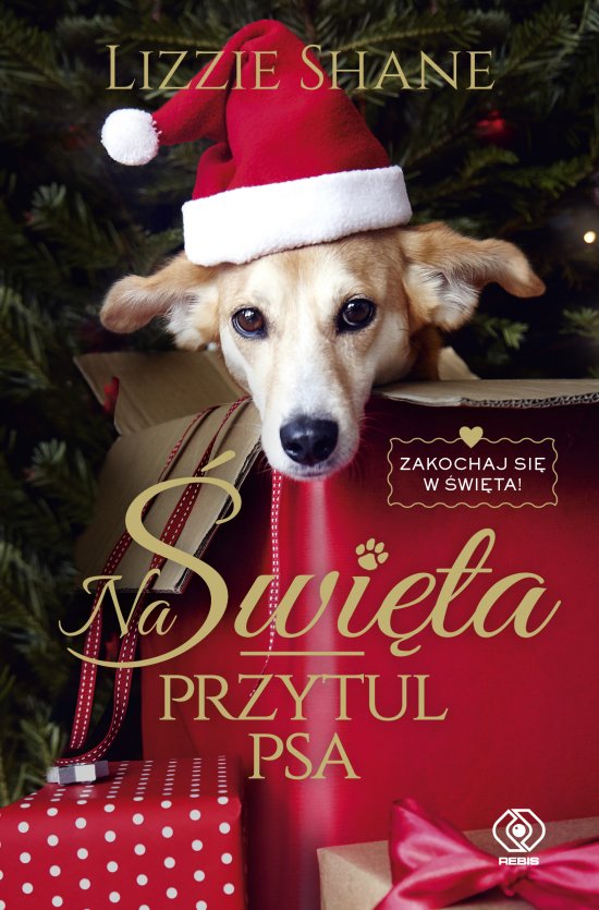 Na �wi�ta przytul psa