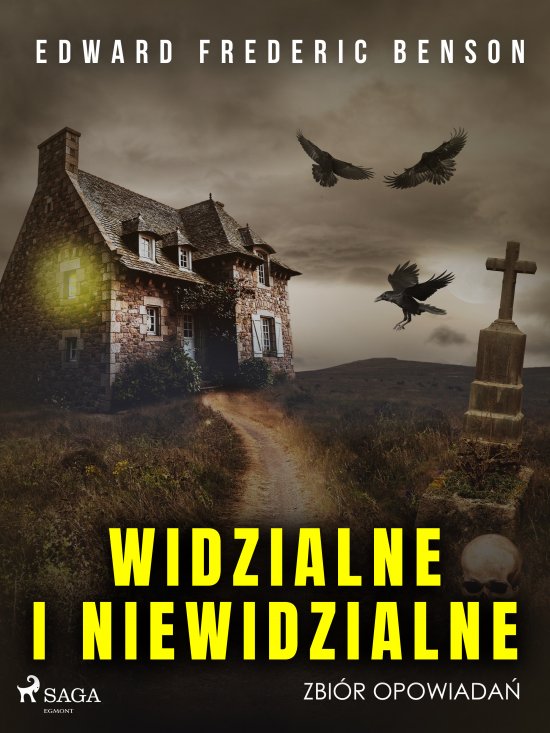 Widzialne i niewidzialne. Zbi�r opowiada�