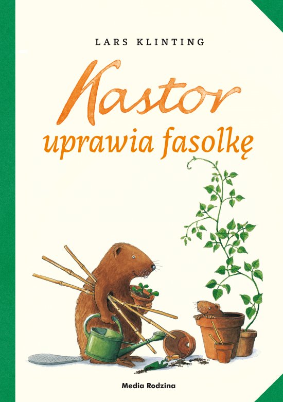 Kastor uprawia fasolk�