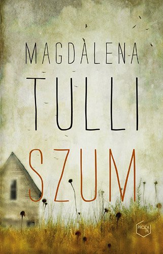 Szum