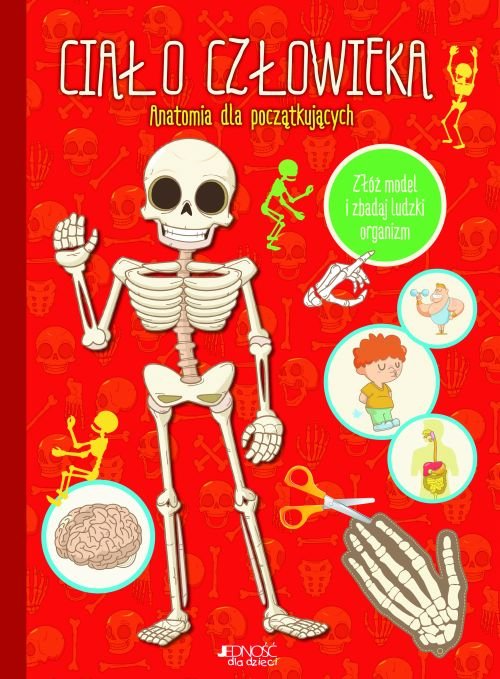 Cia�o cz�owieka. Anatomia dla pocz�tkuj�cych. Z�� model i zbadaj ludzki organizm